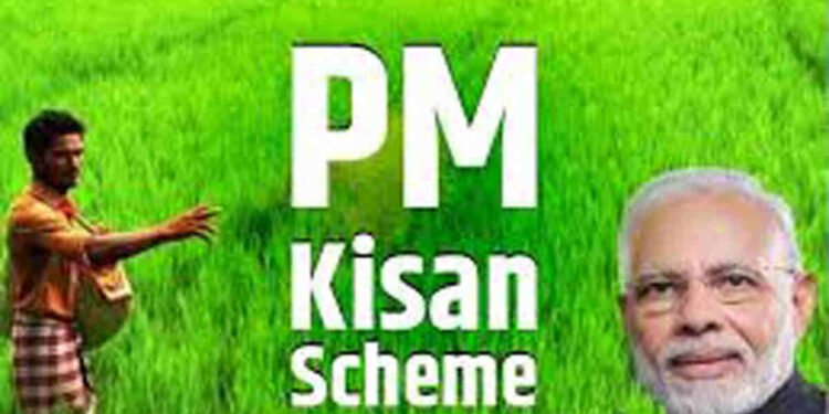 pm kisan, pm kisan 19th installment date, pm kisan samman nidhi, pm kisan status, pm kisan yojana, pm kisan 19th installment date 2025, पीएम किसान, kisan samman nidhi, pm, किसान, pm kisan samman nidhi yojana, प्रधानमंत्री किसान सम्मान निधि,