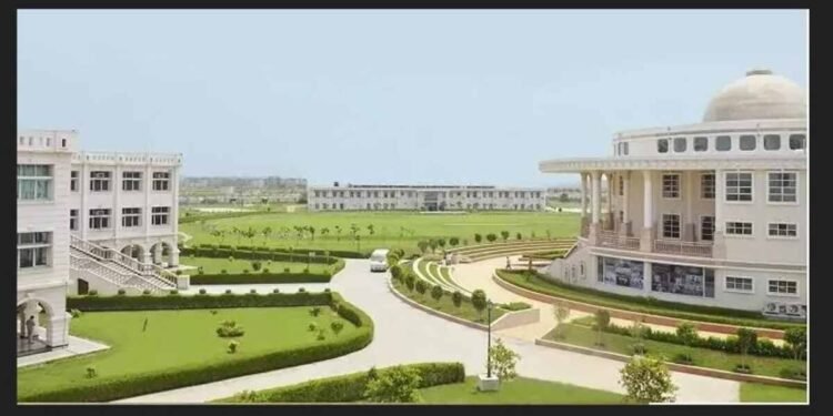 How Modern Business Schools Are Redefining MBA Education