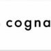 Cognavi AI placements, Indian engineering students global jobs, AI recruitment platform India, Cognavi Skill Tree, international placements IIT students, ₹42 lakh engineering package